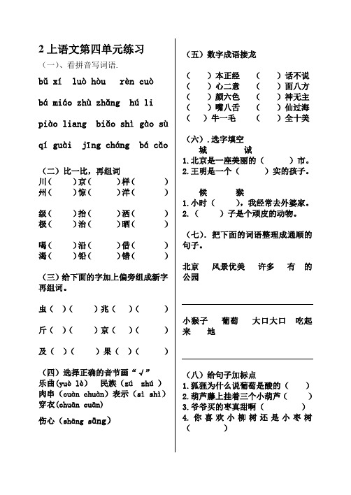 第四单元基础知识