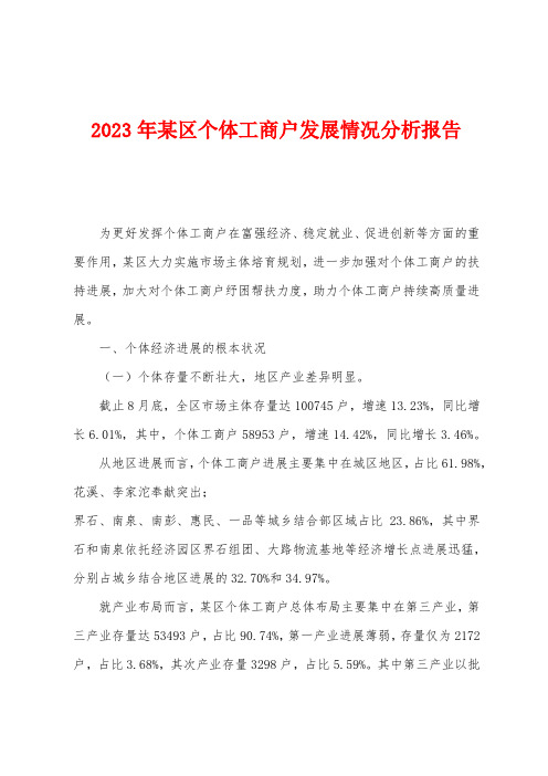 2023年某区个体工商户发展情况分析报告