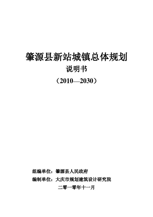 大庆市新站镇镇域说明书(改后合)11.2.10