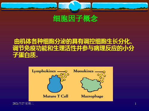 齐鲁医学细胞因子.pptx