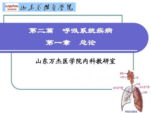 呼吸总论