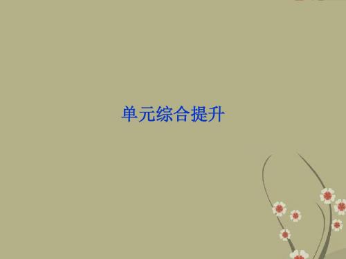 高考生物一轮复习第七单元生物的变异进化遗传与人类健康单元综合提升课件浙科版