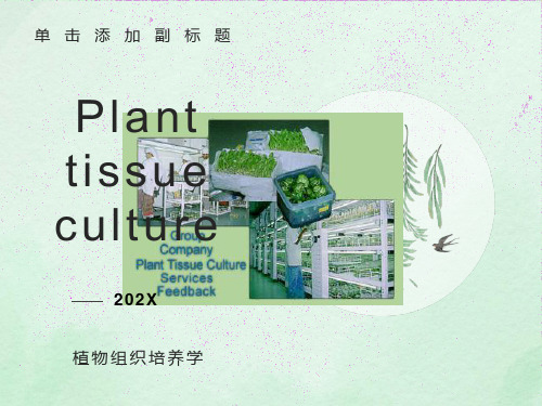 植物组织培养学概论修改中