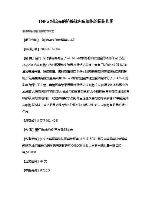 TNFα对培养的脐静脉内皮细胞的损伤作用