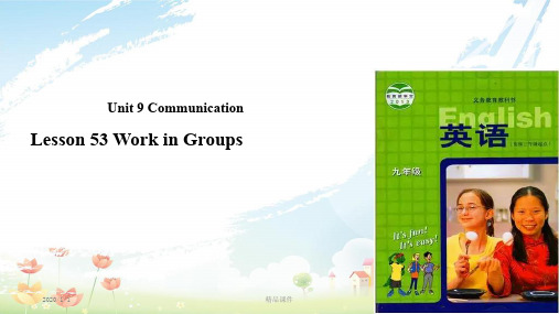 九年级英语下册 Unit 9 Communication Lesson 53 Working in Groups课件 (新版)冀教版