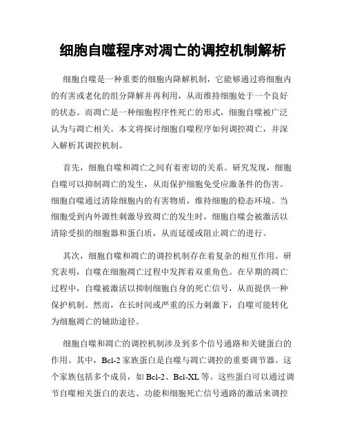 细胞自噬程序对凋亡的调控机制解析