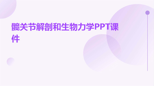 髋关节解剖和生物力学PPT课件