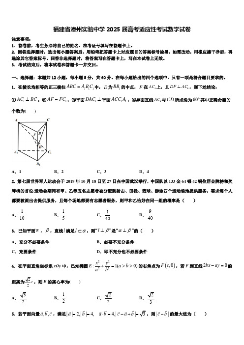 福建省漳州实验中学2025届高考适应性考试数学试卷含解析