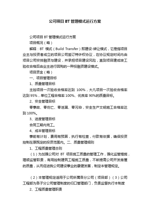 公司项目BT管理模式运行方案