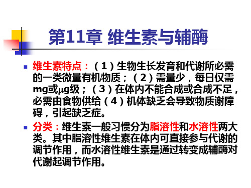 维生素B1硫胺素焦磷酸