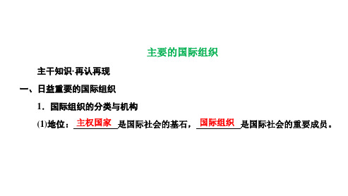 高三总复习政治课件 主要的国际组织