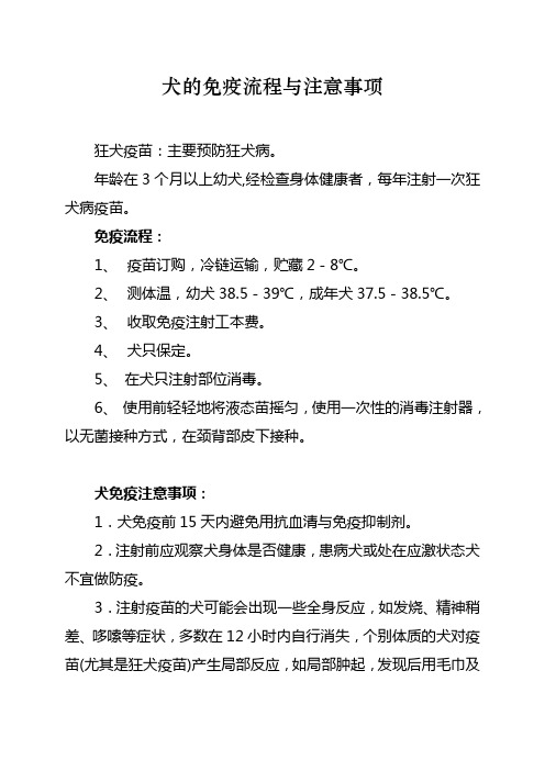 犬的免疫程序与注意事项