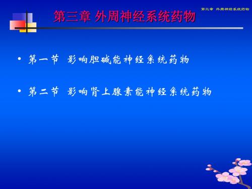 第三章 外周神经系统药物 PPT课件