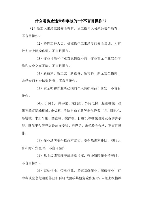 什么是防止违章和事故的“十不盲目操作”？