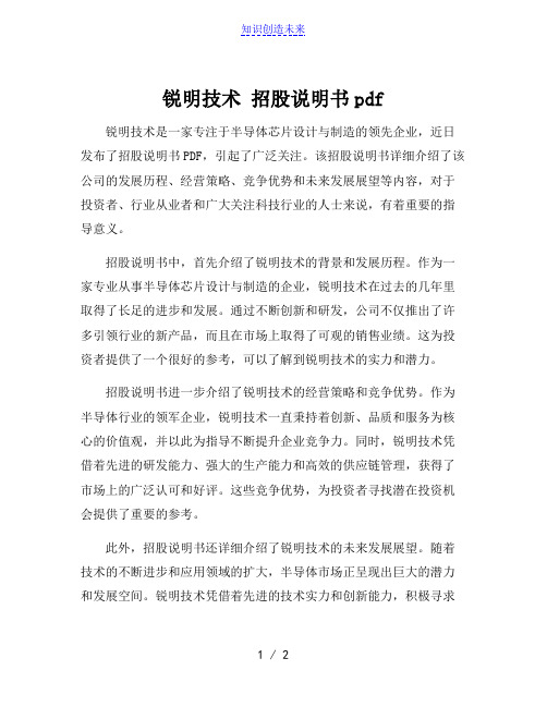 锐明技术 招股说明书pdf