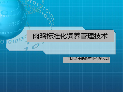 肉鸡标准化饲养管理技术