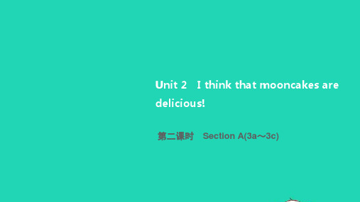 九年级英语全册Unit2第二课时SectionA3a_3c人教版