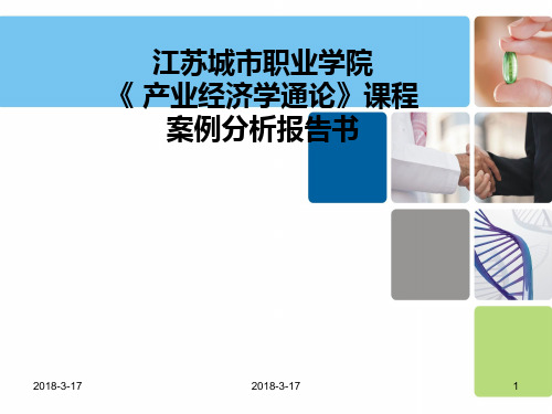 《 产业经济学通论》课程案例分析报告总结书