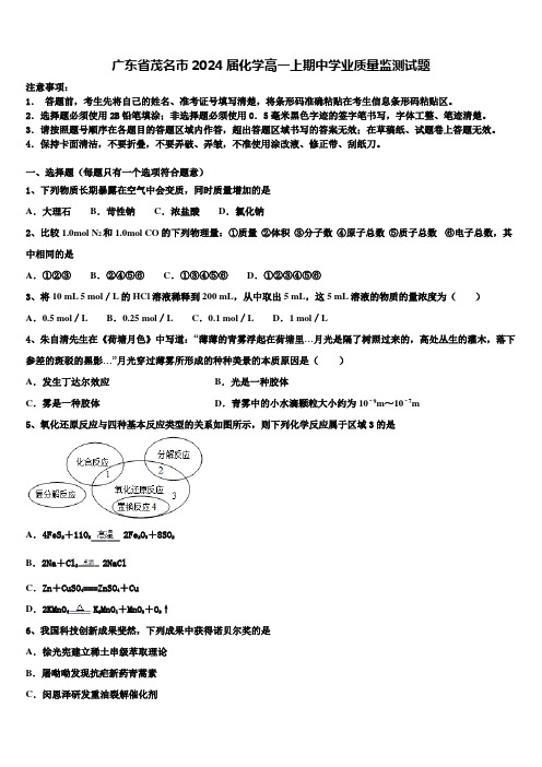 广东省茂名市2024届化学高一上期中学业质量监测试题含解析