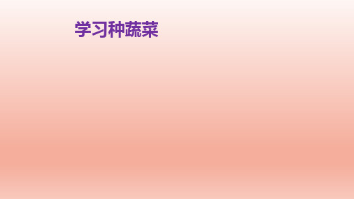 四年级综合实践活动课件-学习种蔬菜 全国通用(共27张PPT)劳动技术课件