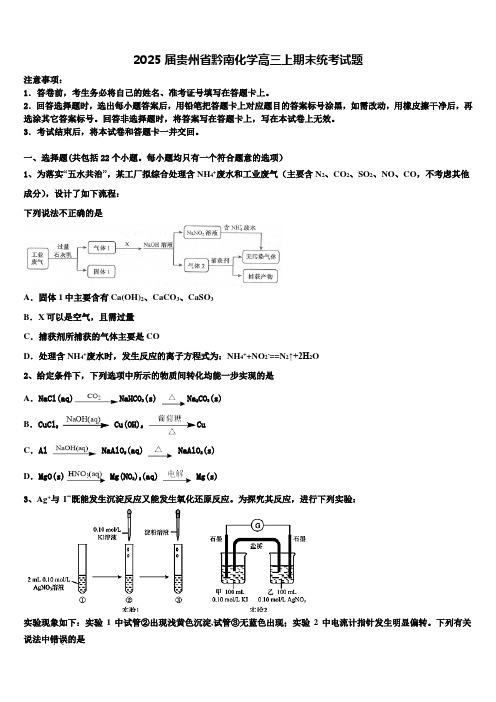 2025届贵州省黔南化学高三上期末统考试题含解析