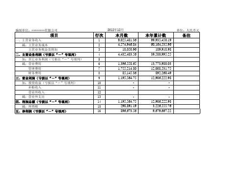 2012年年度财务报表