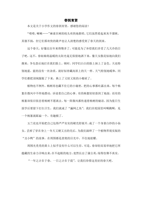 春到育贤_小学作文