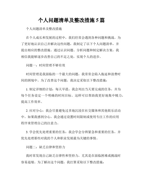 个人问题清单及整改措施5篇