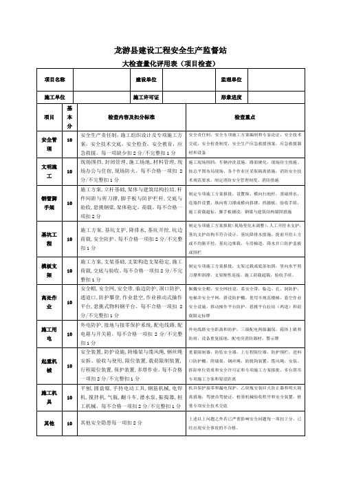 安监大检查量化评价用表(扣分细则)