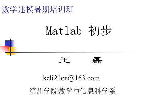 MATLAB优化问题