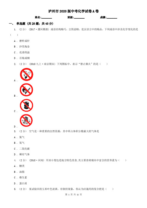 泸州市2020版中考化学试卷A卷