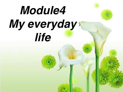 外研版初中七年级上册英语Moudle4 My everyday life