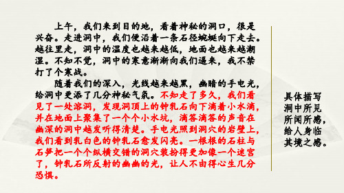 (新课标解读)2020版语文专题 范文2：银河洞探险新课标改编版_1-4