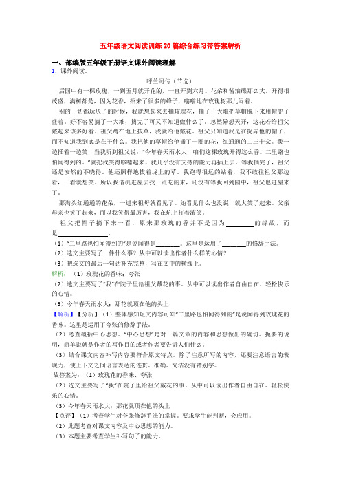 五年级语文阅读训练20篇综合练习带答案解析