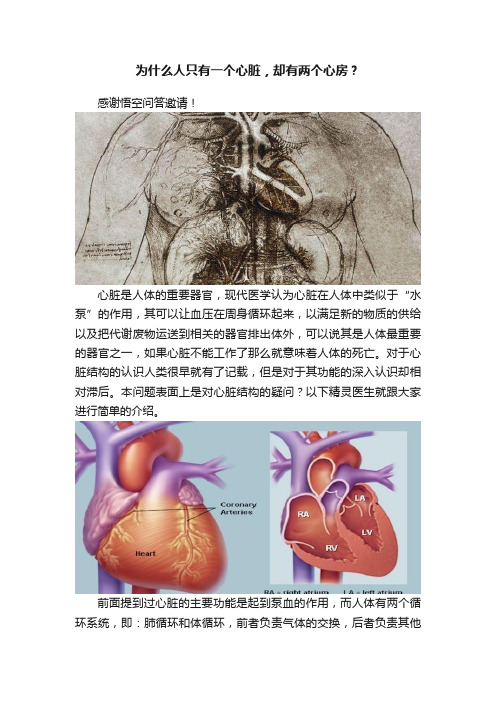 为什么人只有一个心脏，却有两个心房？