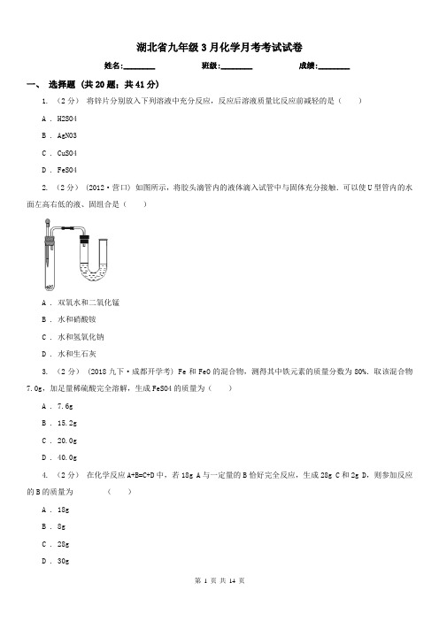 湖北省九年级3月化学月考考试试卷