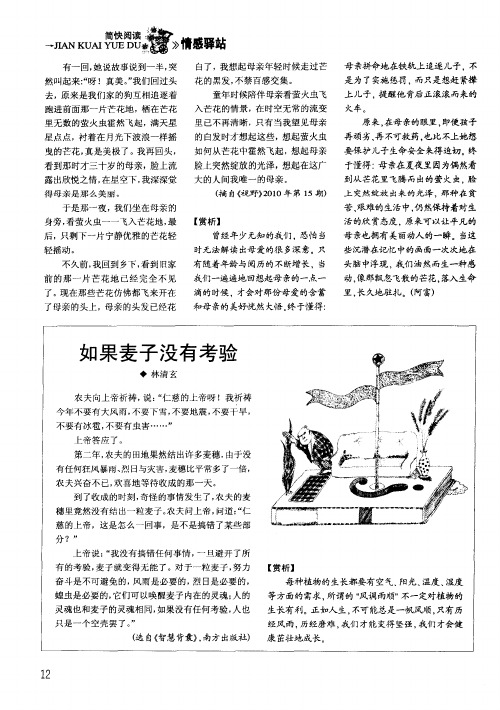 如果麦子没有考验