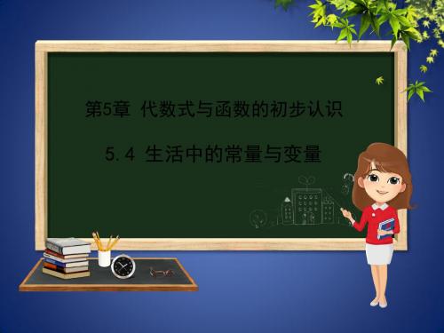 七年级数学上册 第五章 代数式与函数的初步认识 5.4 