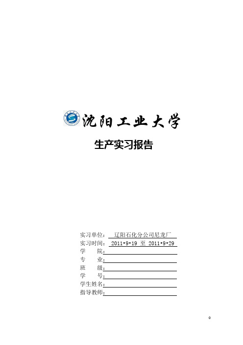 尼龙厂己二酸实习报告