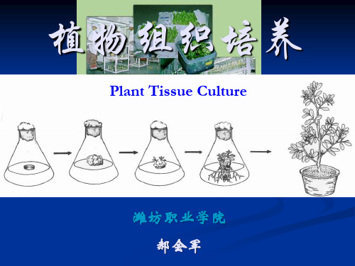 植物组织培养绪论