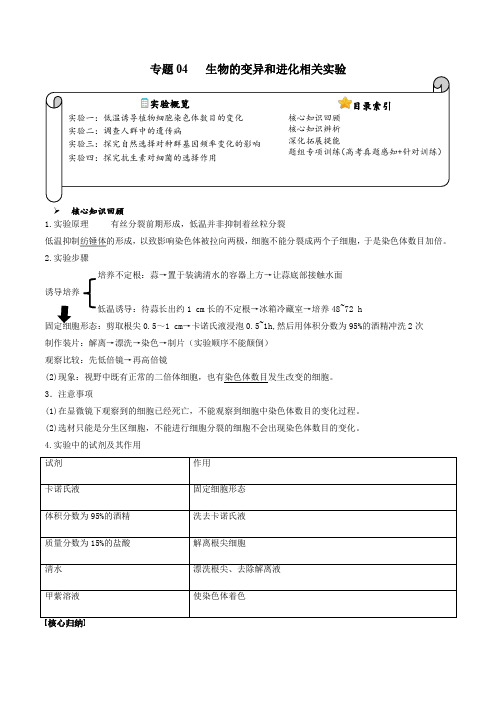 专题04生物的变异和进化相关实验(原卷版)