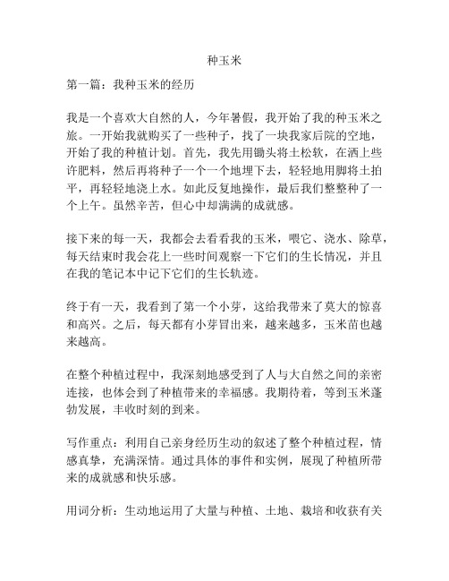 种玉米_精品范文
