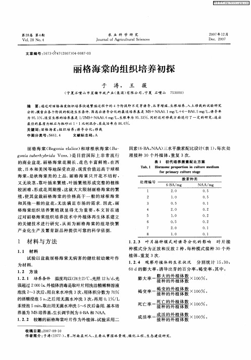 丽格海棠的组织培养初探