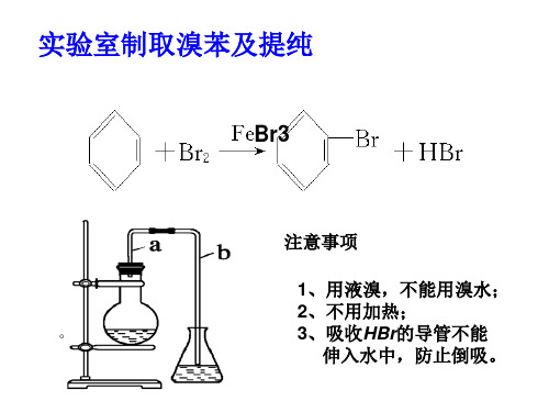 实验室制取溴苯资料讲解