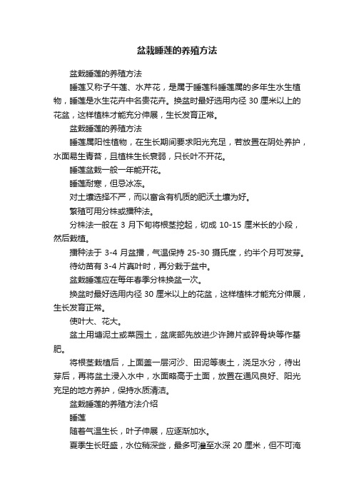 盆栽睡莲的养殖方法