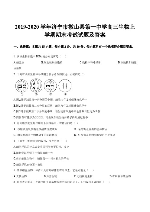 2019-2020学年济宁市微山县第一中学高三生物上学期期末考试试题及答案