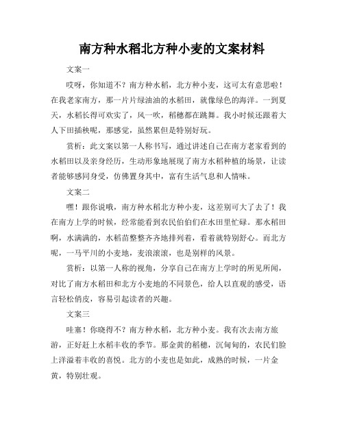 南方种水稻北方种小麦的文案材料