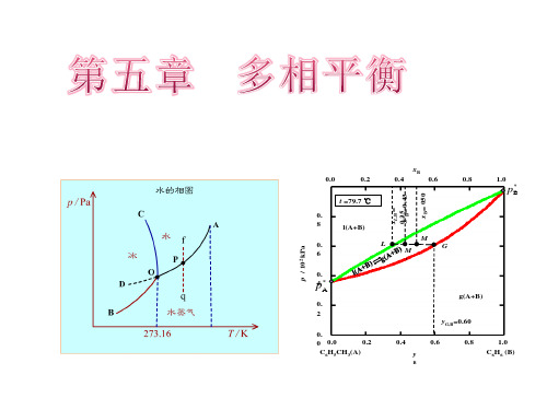 物理化学第五章 多相平衡