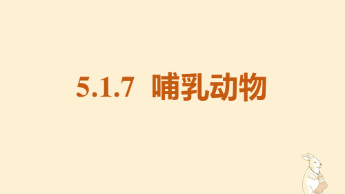 2022-2023学年人教版生物八年级上册 5-1-7 哺乳动物 课件