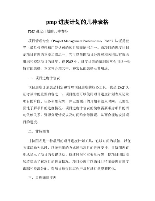 pmp 进度计划的几种表格